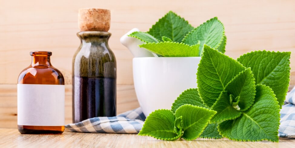 Aceite de Borraja: Los 4 beneficios y propiedades