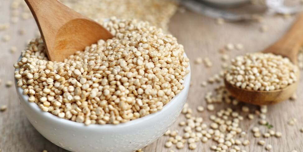 Chenopodium quinoa