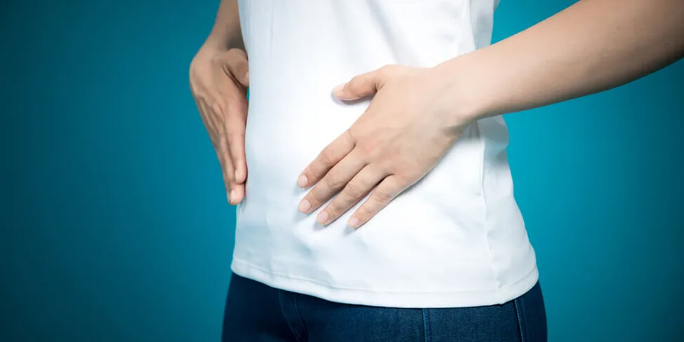 LACTOBACILLUS GASSER