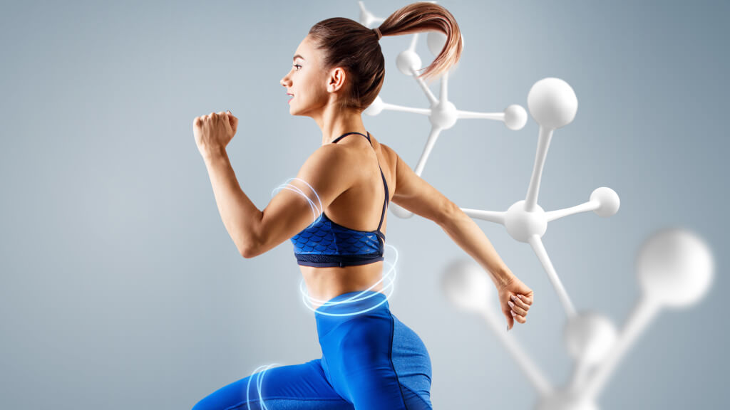 Metabolismo Basal