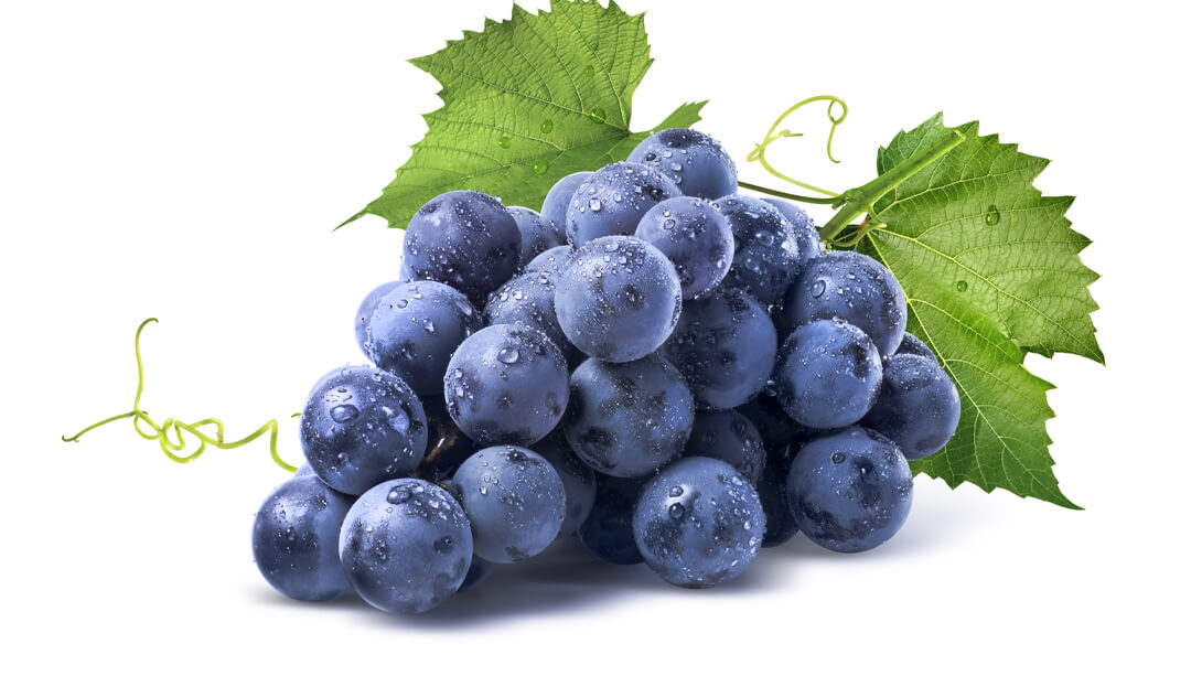 Uvas
