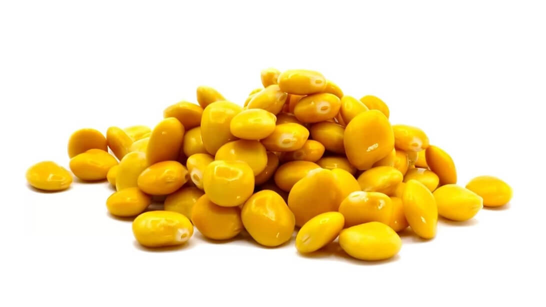 altramuces