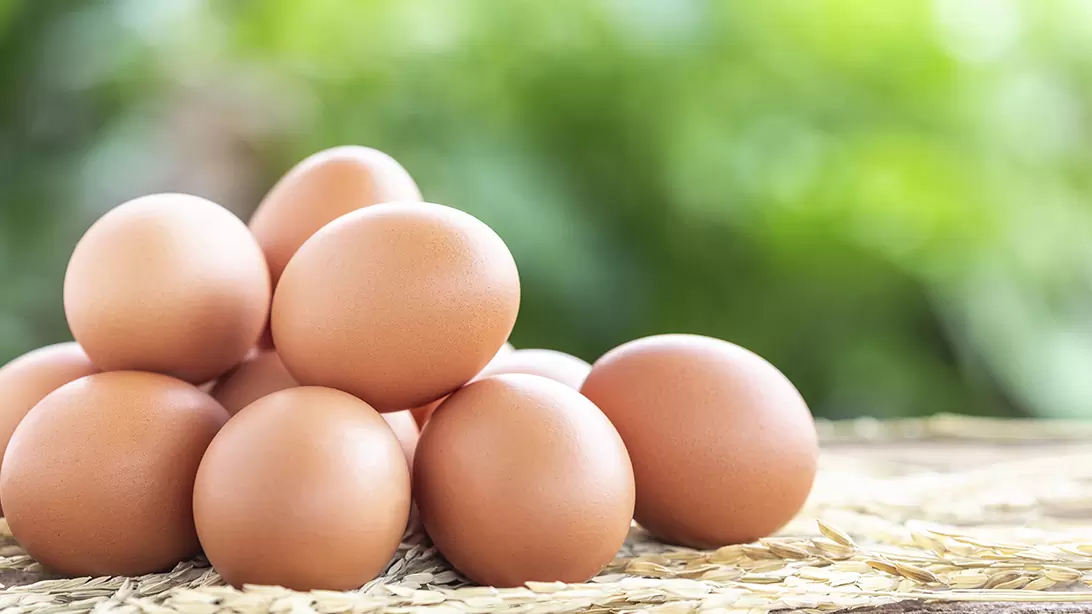 huevos