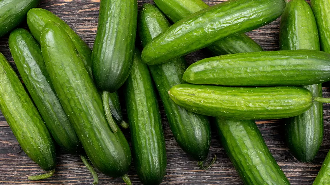 pepino
